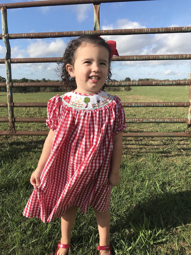 Baby girl smocked dress